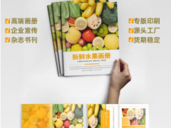 天津宣传册印刷 企业封套印刷 宣传册印制印刷厂